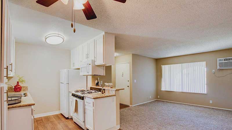 Shadow Mountain Interior Kitchen and Window View